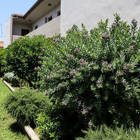 Yannis Apartments أفيتوس المظهر الخارجي الصورة